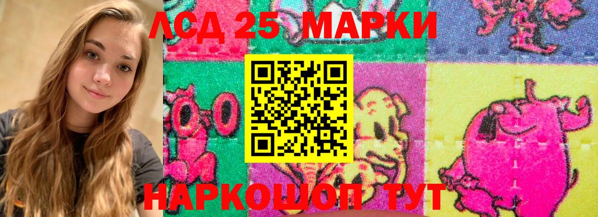 Нефтекумск  omg зеркало  Вход с VPN  ЛСД экстази ecstasy  LSD-25 экстази ecstasy  ЛСД экстази 