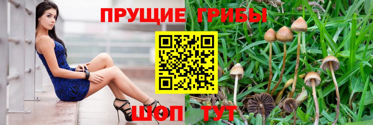 Псилоцибиновые грибы прущие грибы  Вход с VPN  Нефтекумск 